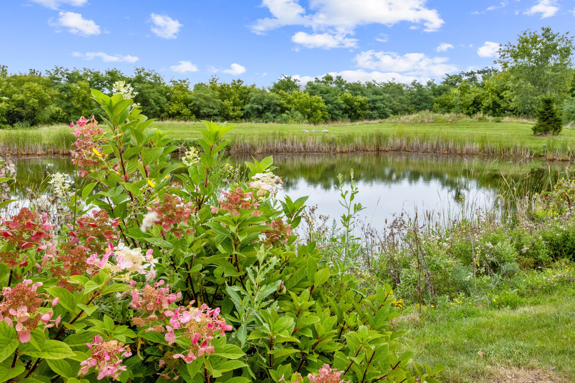 Exterior_ 100_West_River_Woods_131