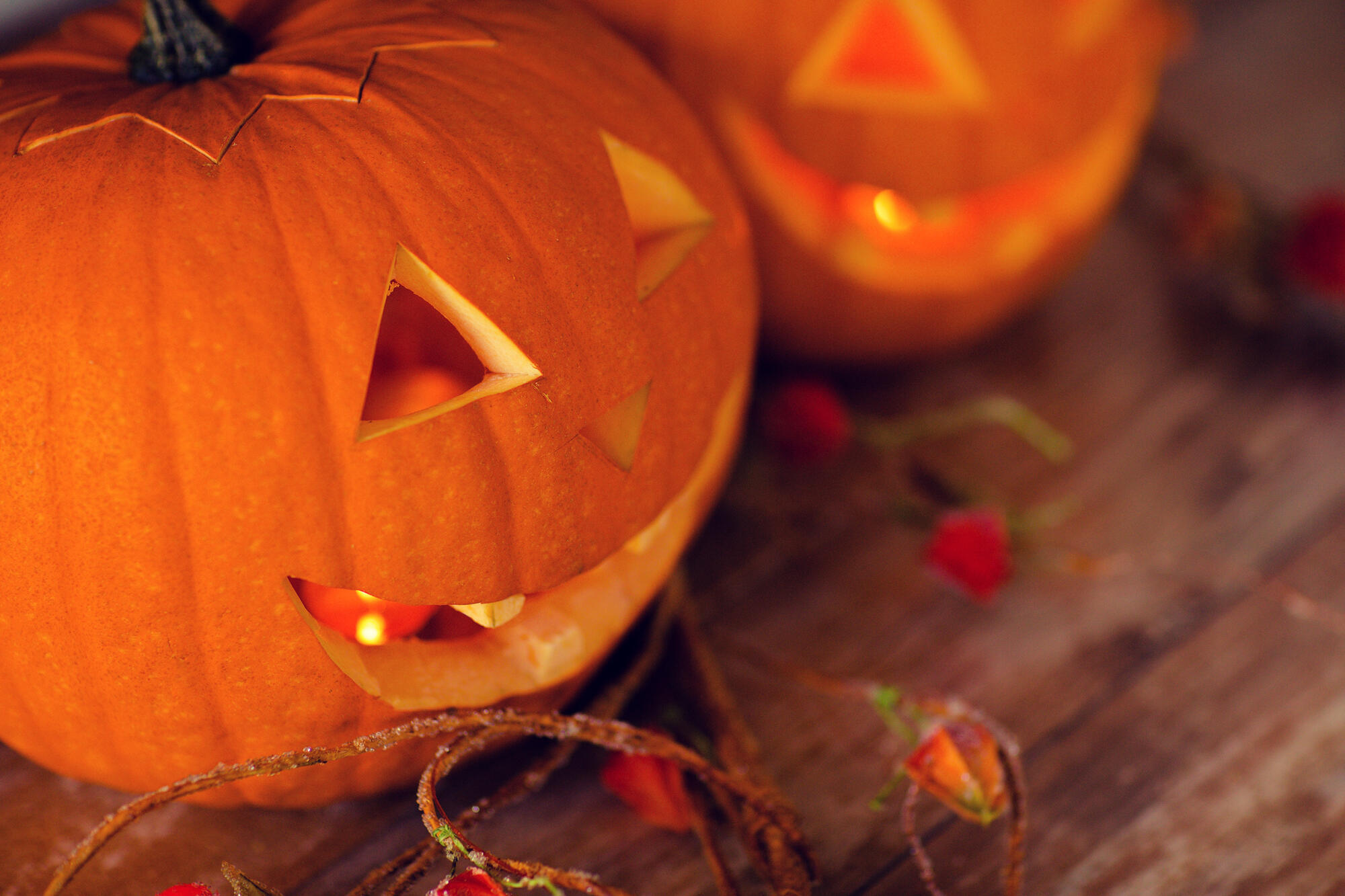 Fun Halloween Activities for Seniors in Glendale, WI Communities